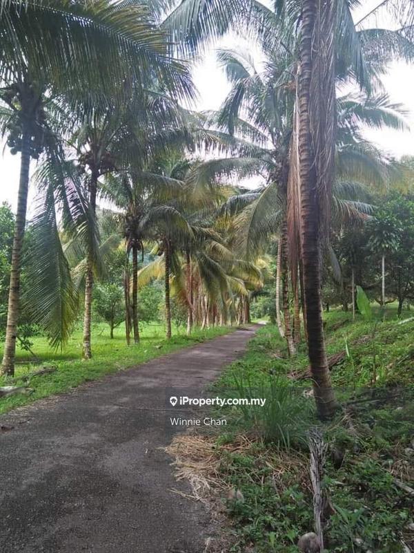 Agricultural Land for Sale in Tapah Perak 550 Acres Freehold Agriculture Land, Tapah by Winnie Chan - iProperty.com.my