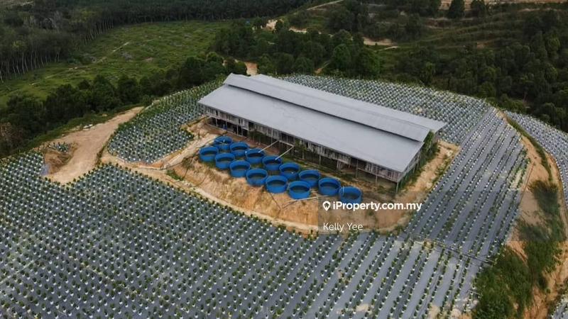 Agricultural Land for Sale in Kampung Legong Jaya, Gadong by Kelly Yee - iProperty.com.my