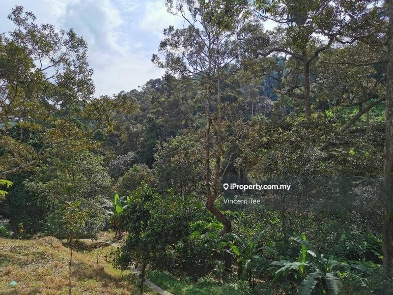 Tanah Pertanian untuk Dijual di Bukit Relau, Balik Pulau oleh Vincent Tee - iProperty.com.my