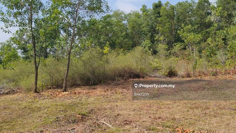 Banglo Tanah untuk Dijual di Meru Valley, Ipoh oleh EricGoh - iProperty.com.my