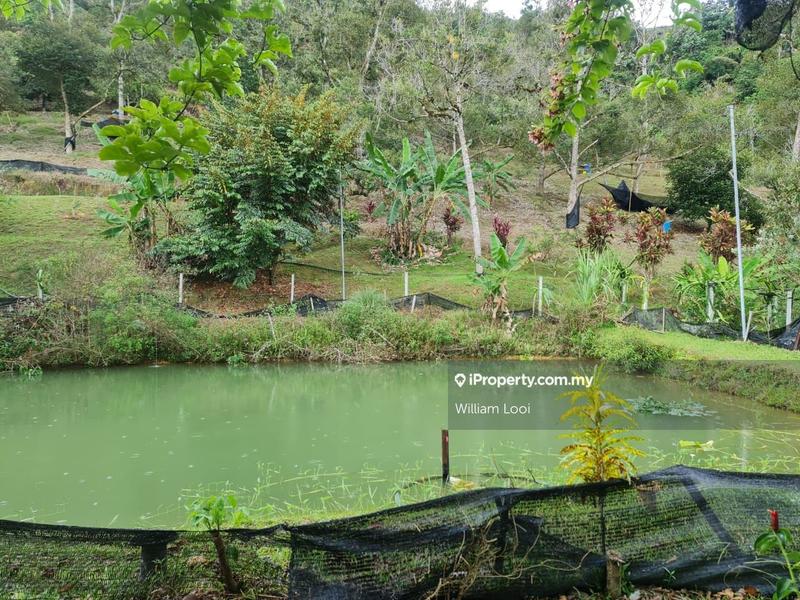 Agricultural Land for Sale in Kampung Tras, Raub by William Looi - iProperty.com.my