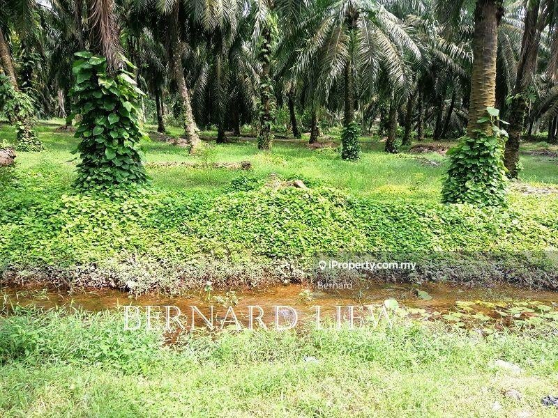Agricultural Land for Sale in Kamunting, Kamunting by Bernard - iProperty.com.my