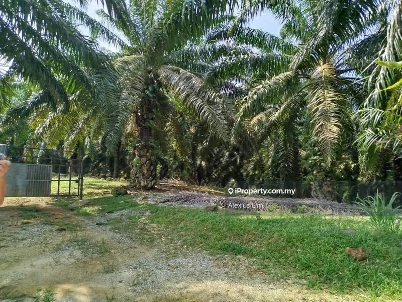 For Sale - 2pcs of 4 Acres Agricultural Land(Road Side) @ Desa Makmur, Mukim Kota Tinggi