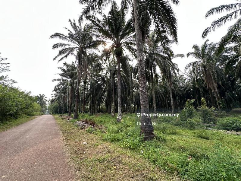 Agricultural Land for Sale in Taman Melor, Pendang by Derrick Ng - iProperty.com.my