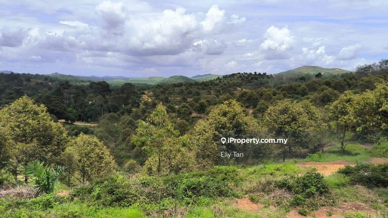 Tanah Pertanian untuk Dijual di Telemong, Karak, Bentong, Raub, Manchis, Bentong oleh Elly Tan - iProperty.com.my