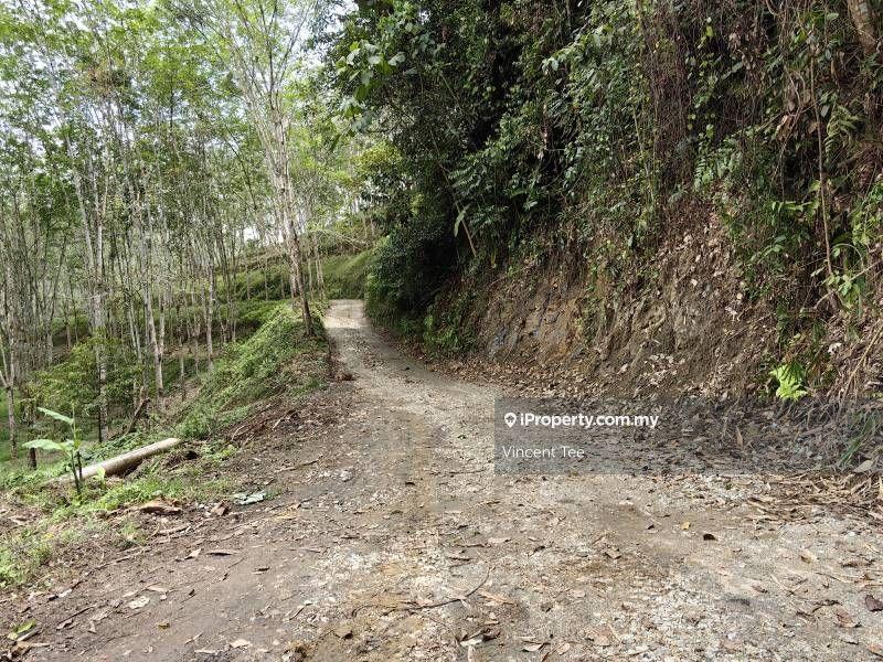 Agricultural Land for Sale in Pekan Baru Titi, Titi by Vincent Tee - iProperty.com.my