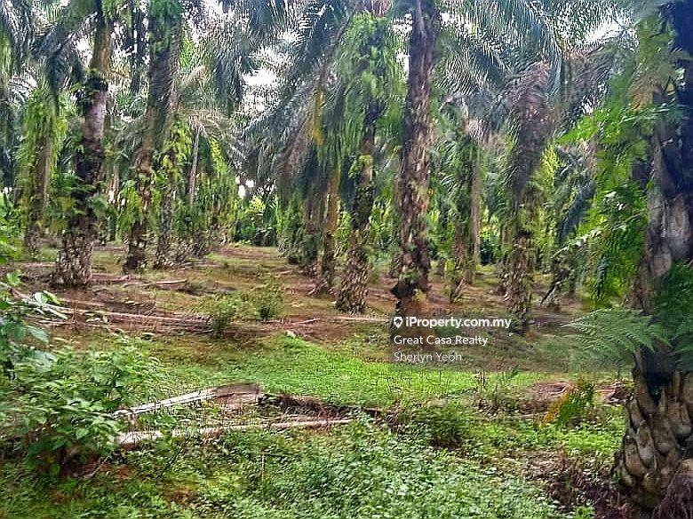 Agricultural Land for Sale in Slim River, Perak by Sherlyn Yeoh - iProperty.com.my