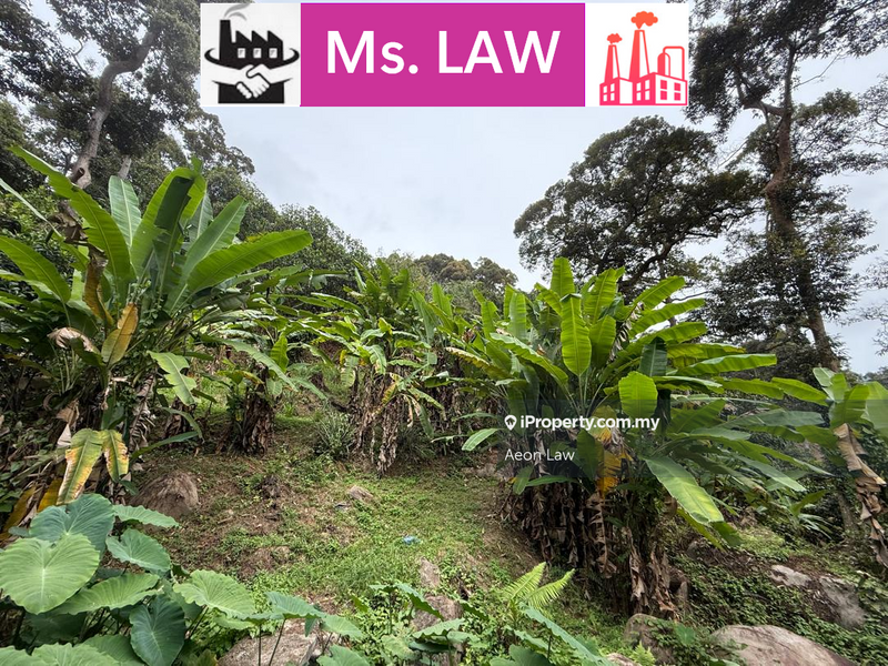 Tanah Pertanian untuk Dijual di Carpet Hill Glass house Durian Agriculture Land, Balik Pulau oleh Aeon Law - iProperty.com.my