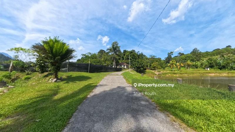 For Rent - Kolam Penternakan Ikan Tilapia - Tanah Untuk disewa di Ulu Yam