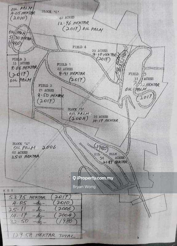 Agricultural Land for Sale in Penjom, Kuala Lipis, Pahang, Kuala Lipis by Bryan Wong - iProperty.com.my