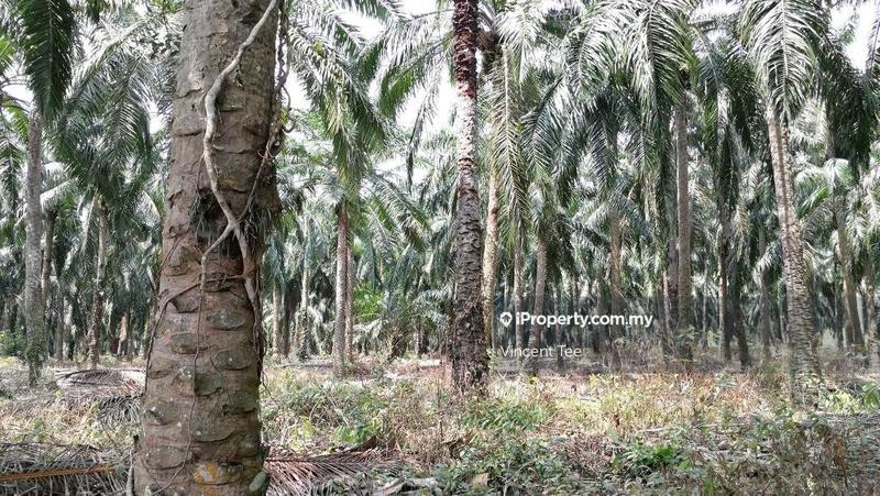Residential Land for Sale in Batang Berjuntai, Kuala Selangor by Vincent Tee - iProperty.com.my