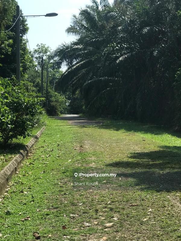 Agricultural Land for Sale in Agriculture land Sungai Merab Sepang Dengkil, Dengkil by Sharil Routh - iProperty.com.my