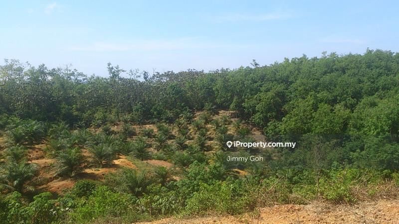 Tanah Pertanian untuk Dijual di Kerling, Kerling oleh Jimmy Goh - iProperty.com.my