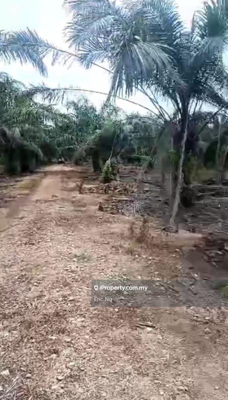 For Sale - Industrial Zoning - Agriculture Land Flat Land Main Road Frontage