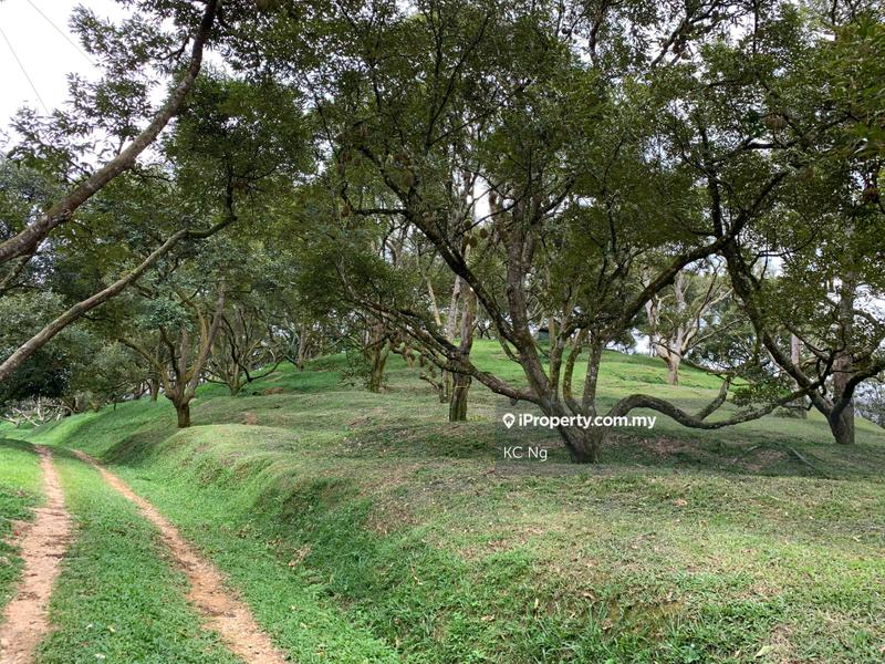 Agricultural Land for Sale in Raub, Raub by KC Ng - iProperty.com.my
