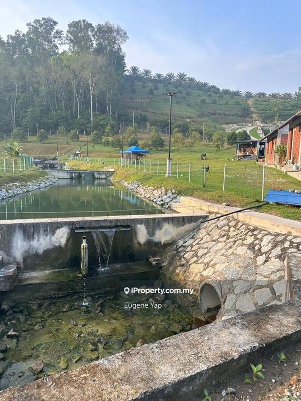 Agricultural Land for Sale in Serendah, Rawang by Eugene Yap - iProperty.com.my