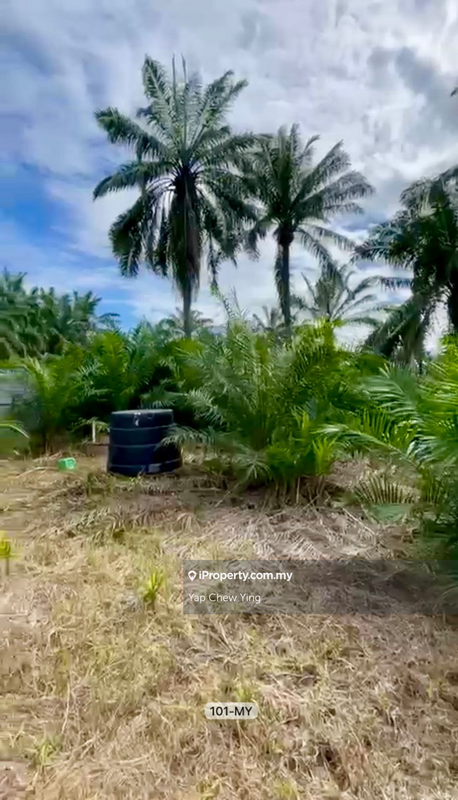 For Sale - CHEAP CHEAP SALE!! 2.18Acres Agricultural Land in Kuala Langat, Banting near Jalan Teratai