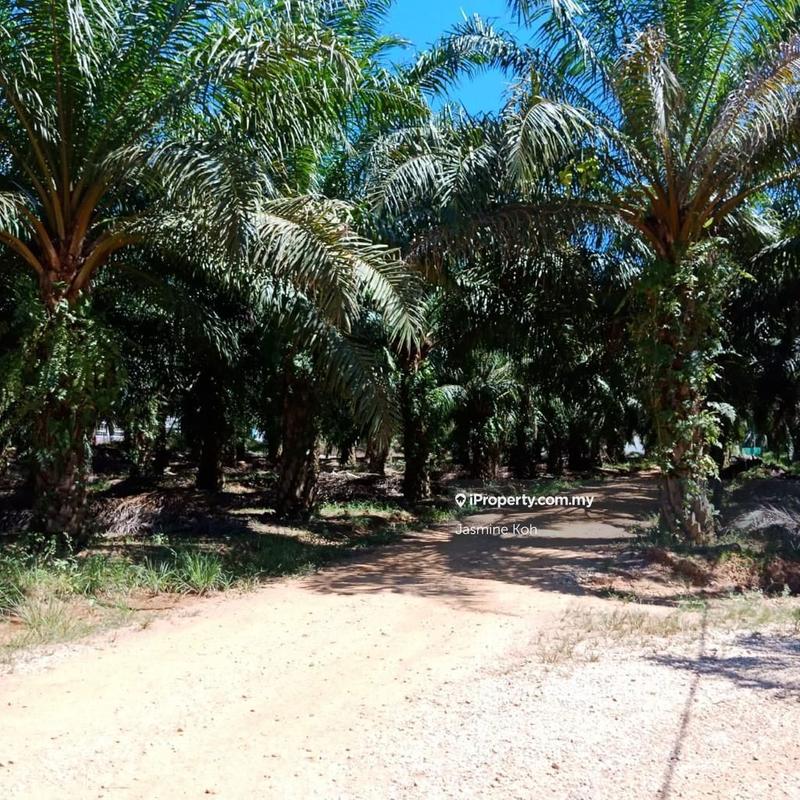 For Sale - Gua Musang