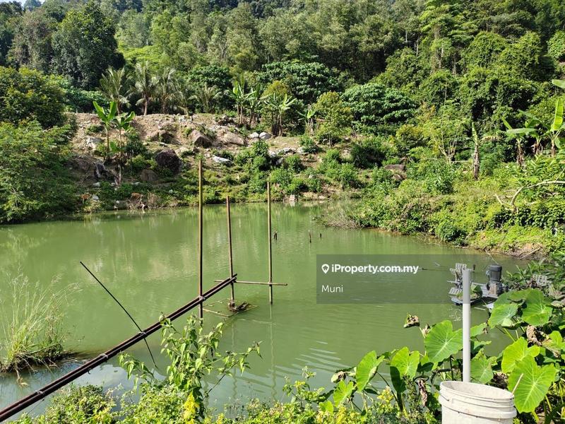 Agricultural Land for Sale in Jelapang, Ipoh by Muni - iProperty.com.my