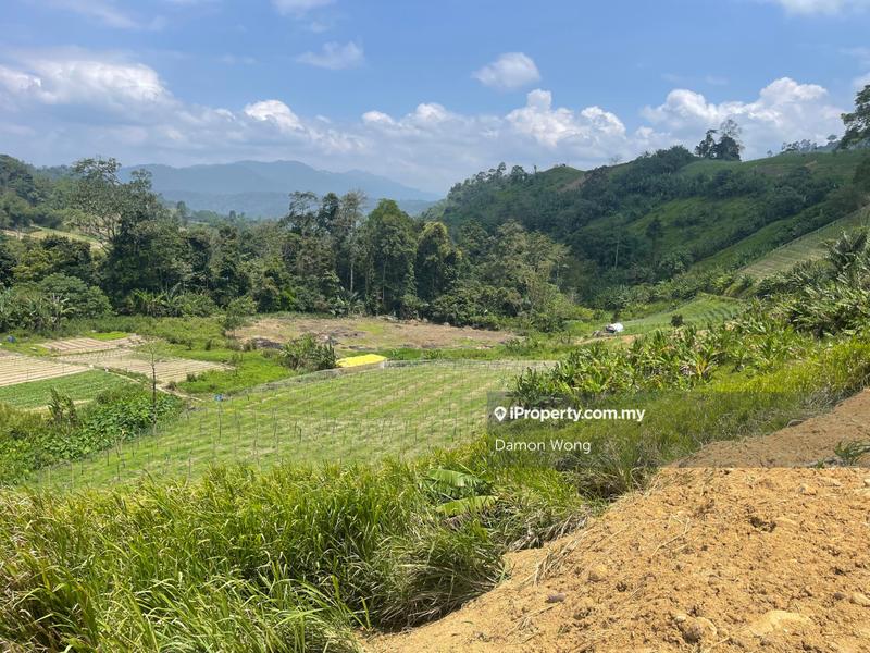 Agricultural Land for Sale in Bukit Tinggi, Bentong, Bentong by Damon Wong - iProperty.com.my