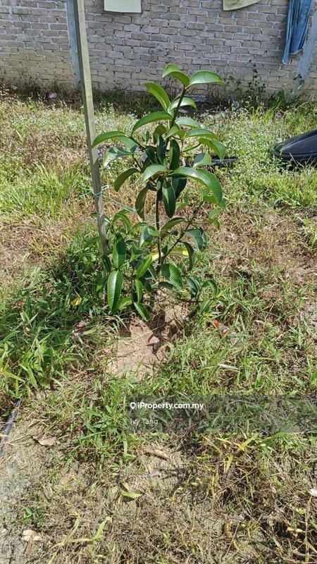 Agricultural Land for Sale in Pantai Remis, Perak by Ivy Tang - iProperty.com.my
