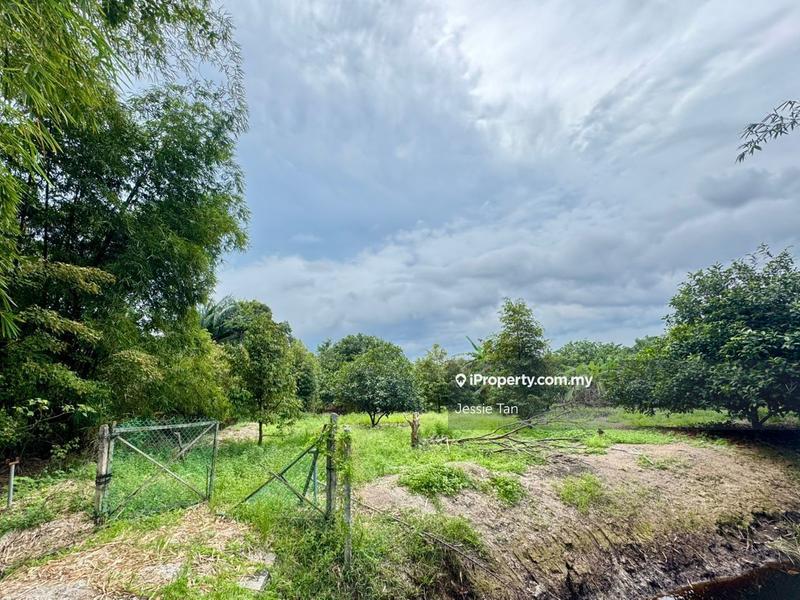 Agricultural Land for Sale in Gelang Patah, Johor by Jessie Tan - iProperty.com.my