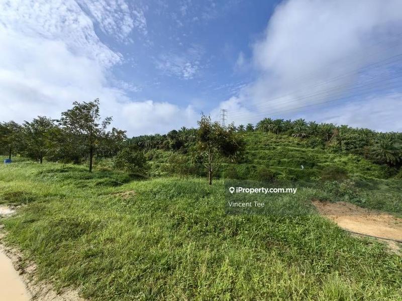 Agricultural Land for Sale in Kampung Sega, Sega by Vincent Tee - iProperty.com.my