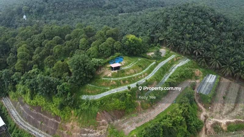 Agricultural Land for Sale in Kampung Legong Jaya, Gadong by Kelly Yee - iProperty.com.my