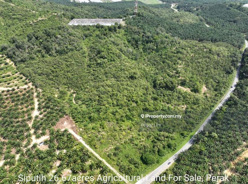 For Sale - Siputih, Perak Tengah, Kinta , Bukit Berapit