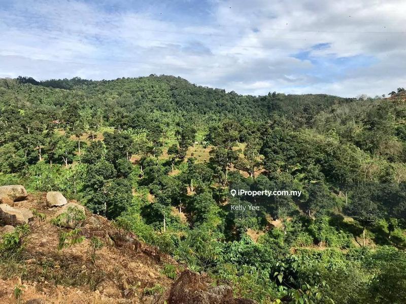 Agricultural Land for Sale in Nibong Tebal, Penang by Kelly Yee - iProperty.com.my