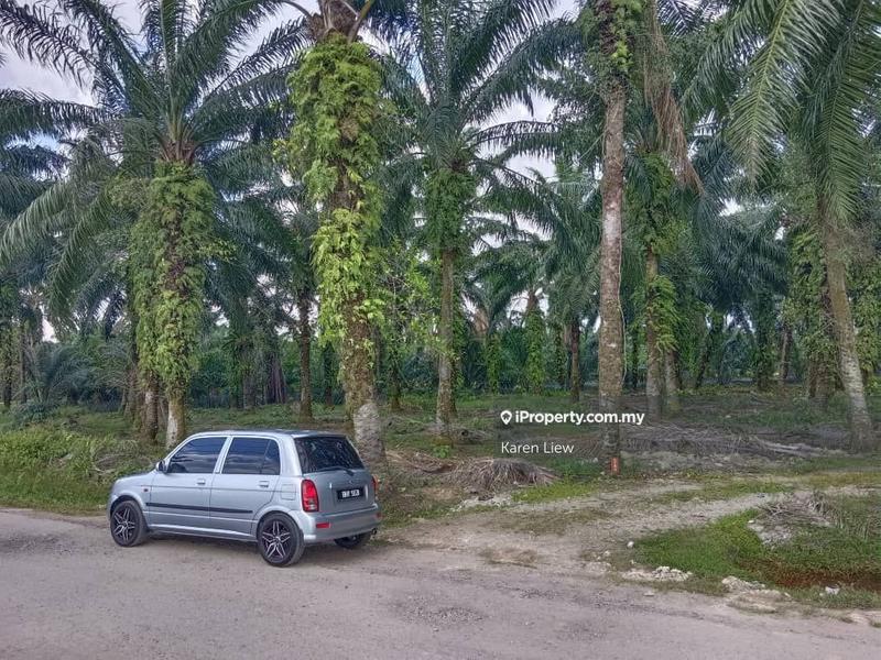 Agricultural Land for Sale in Teluk Panglima Garang, Banting by Karen Liew - iProperty.com.my