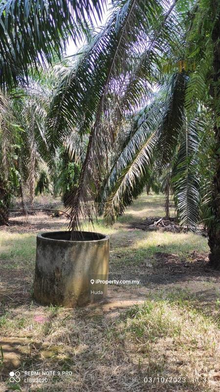 Tanah Pertanian untuk Dijual di Parit Yaani, Yong Peng oleh Huda - iProperty.com.my