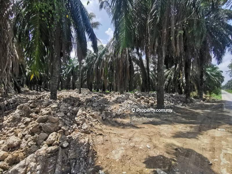 For Sale - Ijok,Jln Warisan