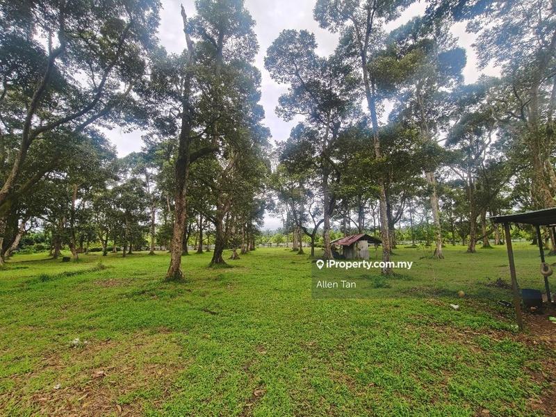 Tanah Pertanian untuk Dijual di Nearby Taman Utama, Pekan Nanas oleh Allen Tan - iProperty.com.my
