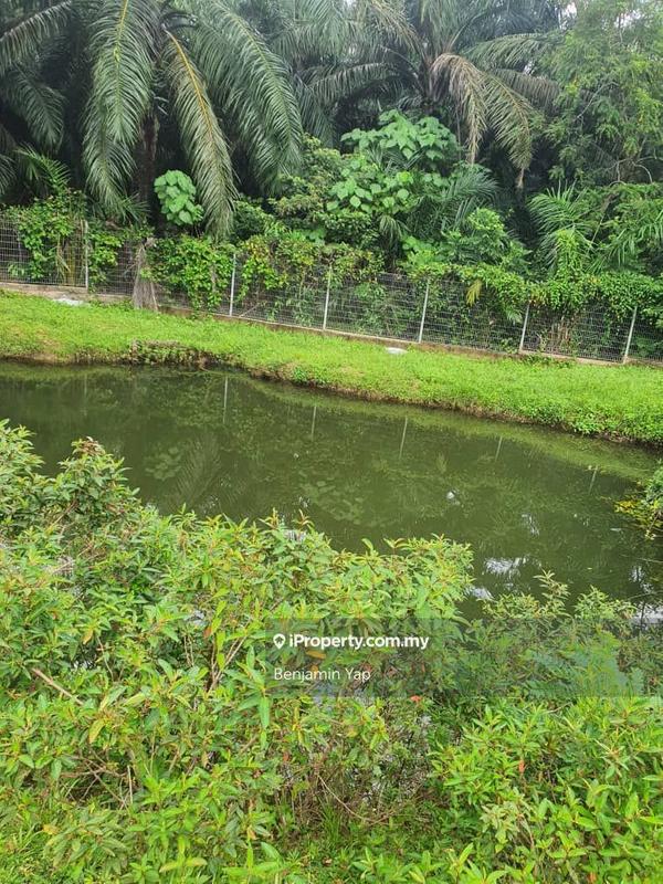 Agricultural Land for Sale in Panchor, Durian Tunggal by Benjamin Yap - iProperty.com.my