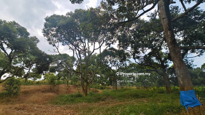 Tanah Pertanian untuk Dijual di Jasin , Melaka, Jasin oleh Sean Liew - iProperty.com.my