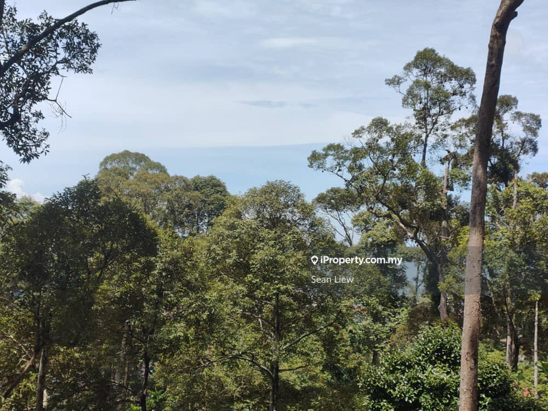 Agricultural Land for Sale in Pulau Penang, Bayan Lepas by Sean Liew - iProperty.com.my