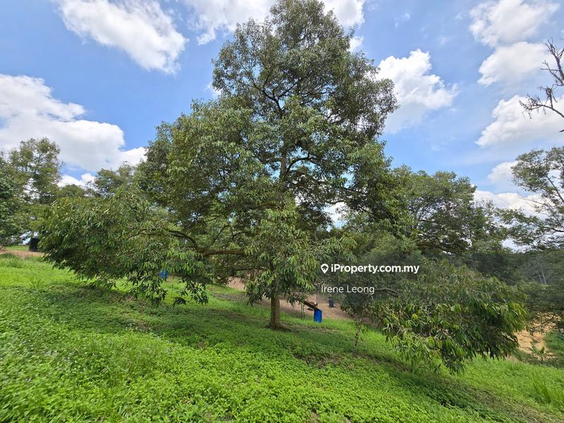 Agricultural Land for Sale in Karak, Pahang by Irene Leong - iProperty.com.my