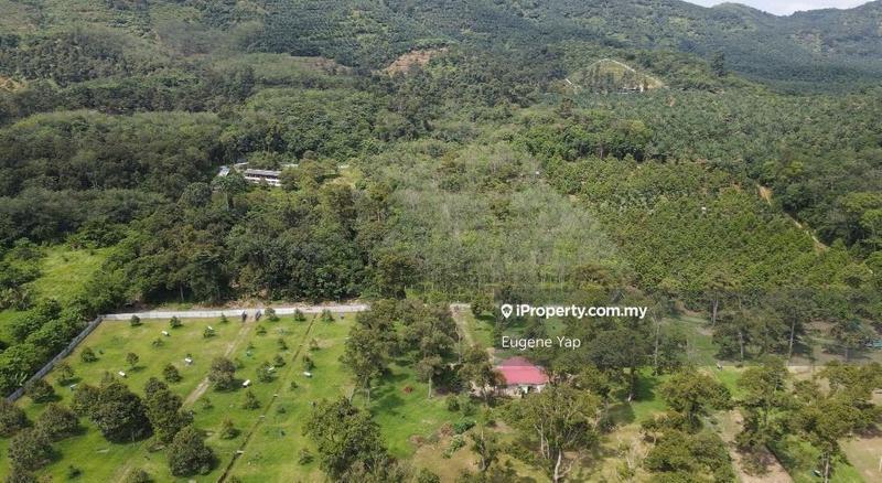 Agricultural Land for Sale in Bukit Tinggi, Bentong by Eugene Yap - iProperty.com.my