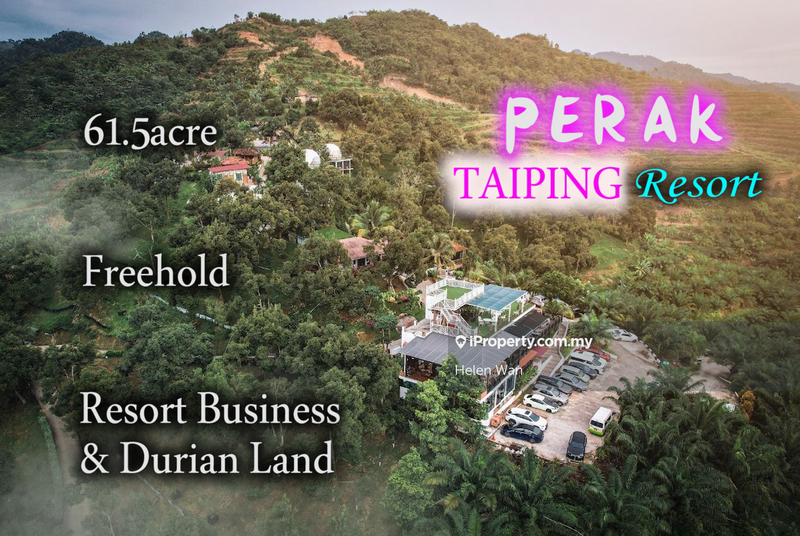 For Sale - Taiping Perak Freehold 61.5acre Resort Business & Durian Farm