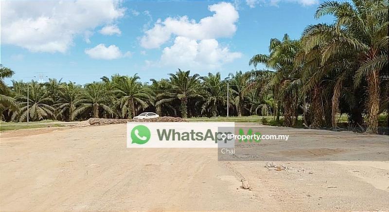 Industrial Land for Sale in x95qz, Ijok by Chai - iProperty.com.my