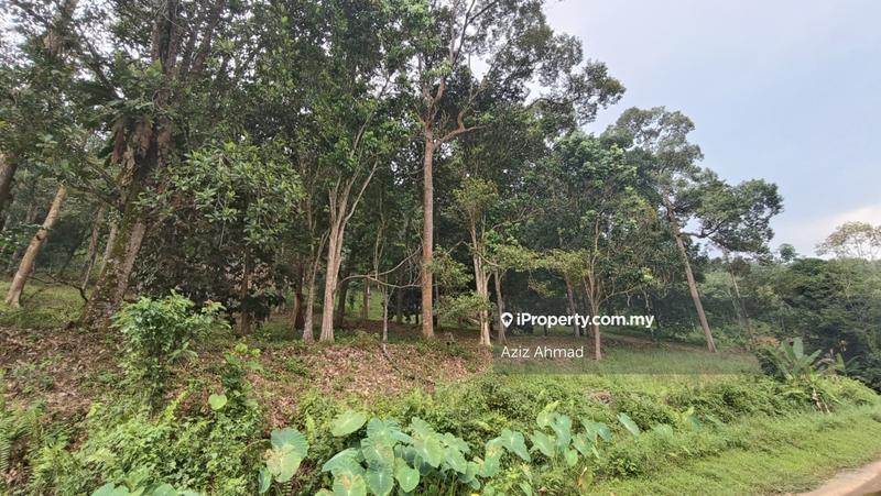 Tanah Pertanian untuk Dijual di Pekan Batu 14, Hulu Langat oleh Aziz Ahmad - iProperty.com.my