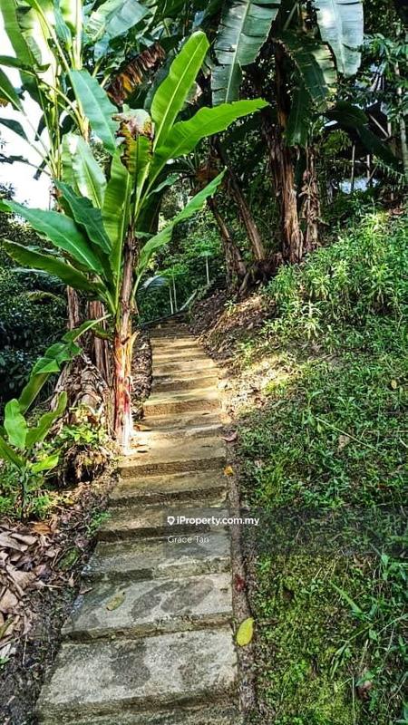 Tanah Pertanian untuk Dijual di Bentong Sang Lee ,Raub, Raub oleh Grace Tan - iProperty.com.my