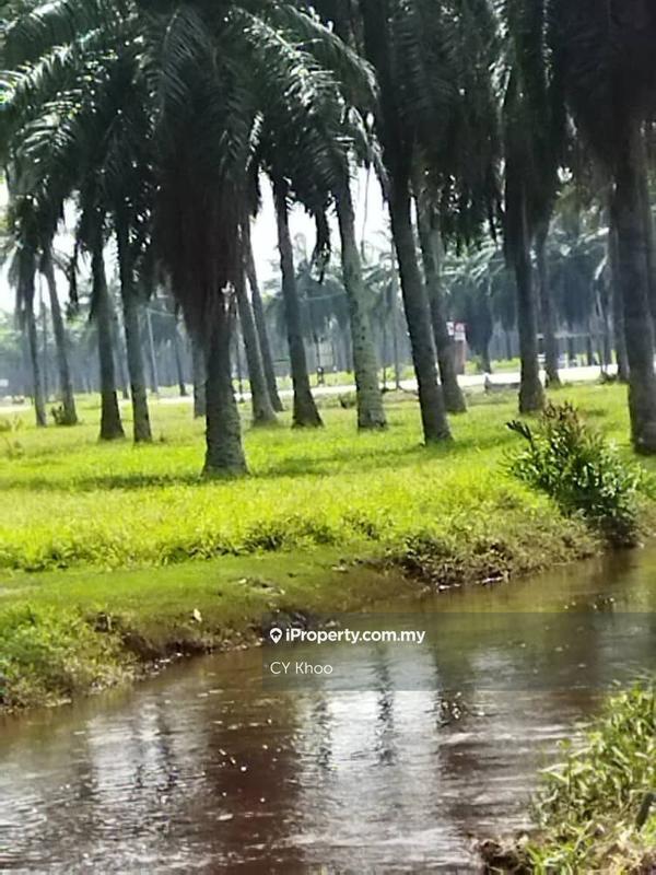 Agricultural Land for Sale in Selangor Kuala Langat Morib Banting 42700, Banting by CY Khoo - iProperty.com.my