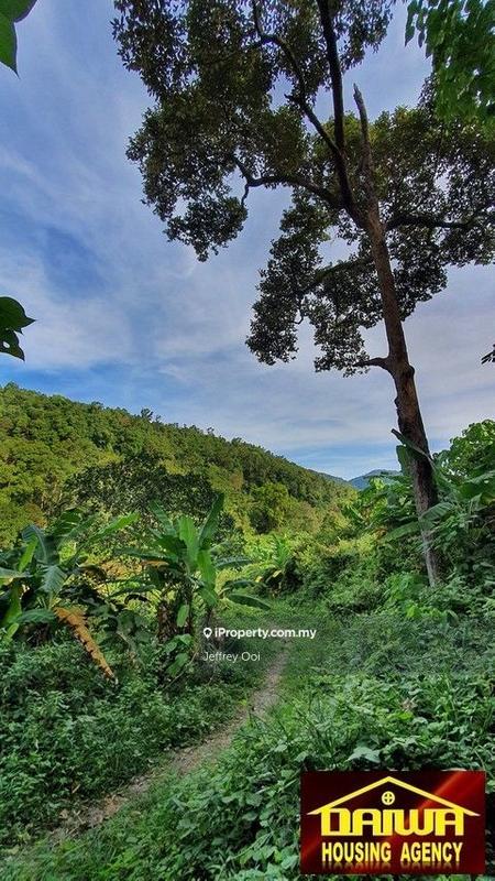 Agricultural Land for Sale in Air Hitam, Ayer Itam by Jeffrey Ooi - iProperty.com.my