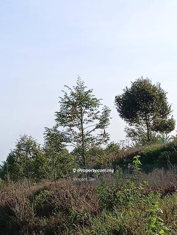 Tanah Pertanian untuk Dijual di Simpang Pertang, Negeri Sembilan oleh Vincent Lim - iProperty.com.my