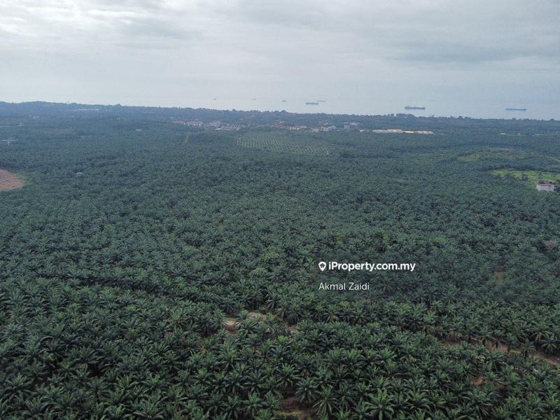 Tanah Perindustrian untuk Dijual di Melaka Ayer Keroh Jasin Alor Gajah, Melaka City oleh Akmal Zaidi - iProperty.com.my