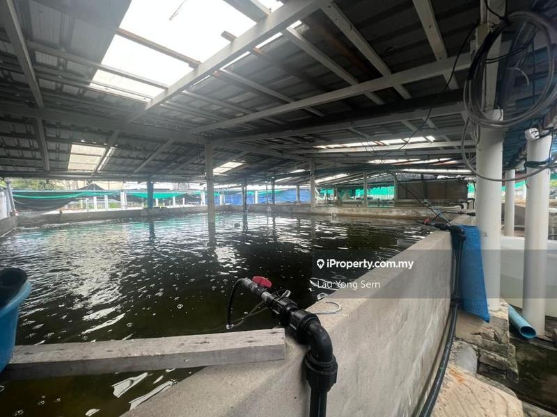 3-storey Terraced House for Sale in Bedong, Bedong by Lau Yong Sern - iProperty.com.my