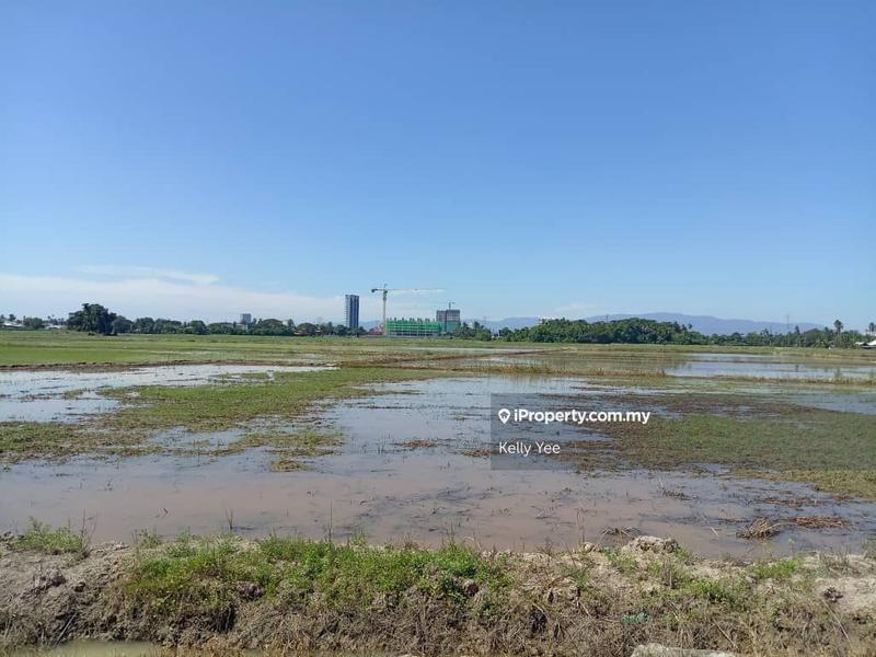 For Sale - First Grade Agriculture Land @ Permatang Pauh for Sale