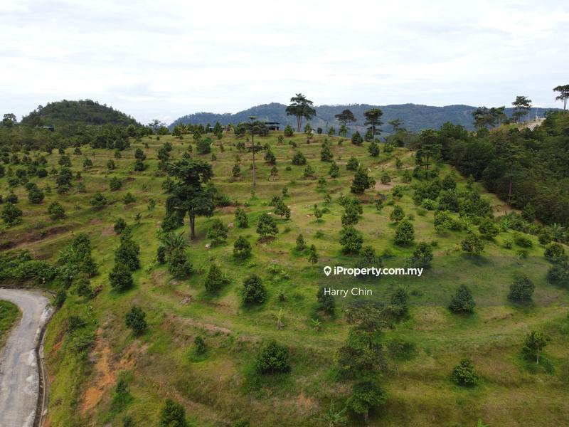 For Sale - The Valley ,Retire Plan,Retreat or Plantation Agricultural land Karak, Bentong